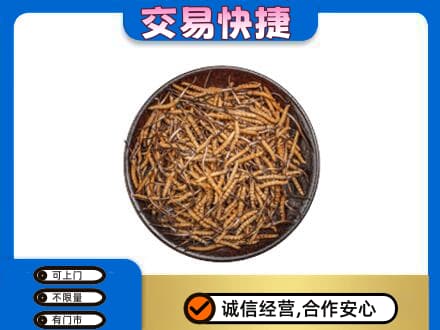 抚顺市清原回收散虫草